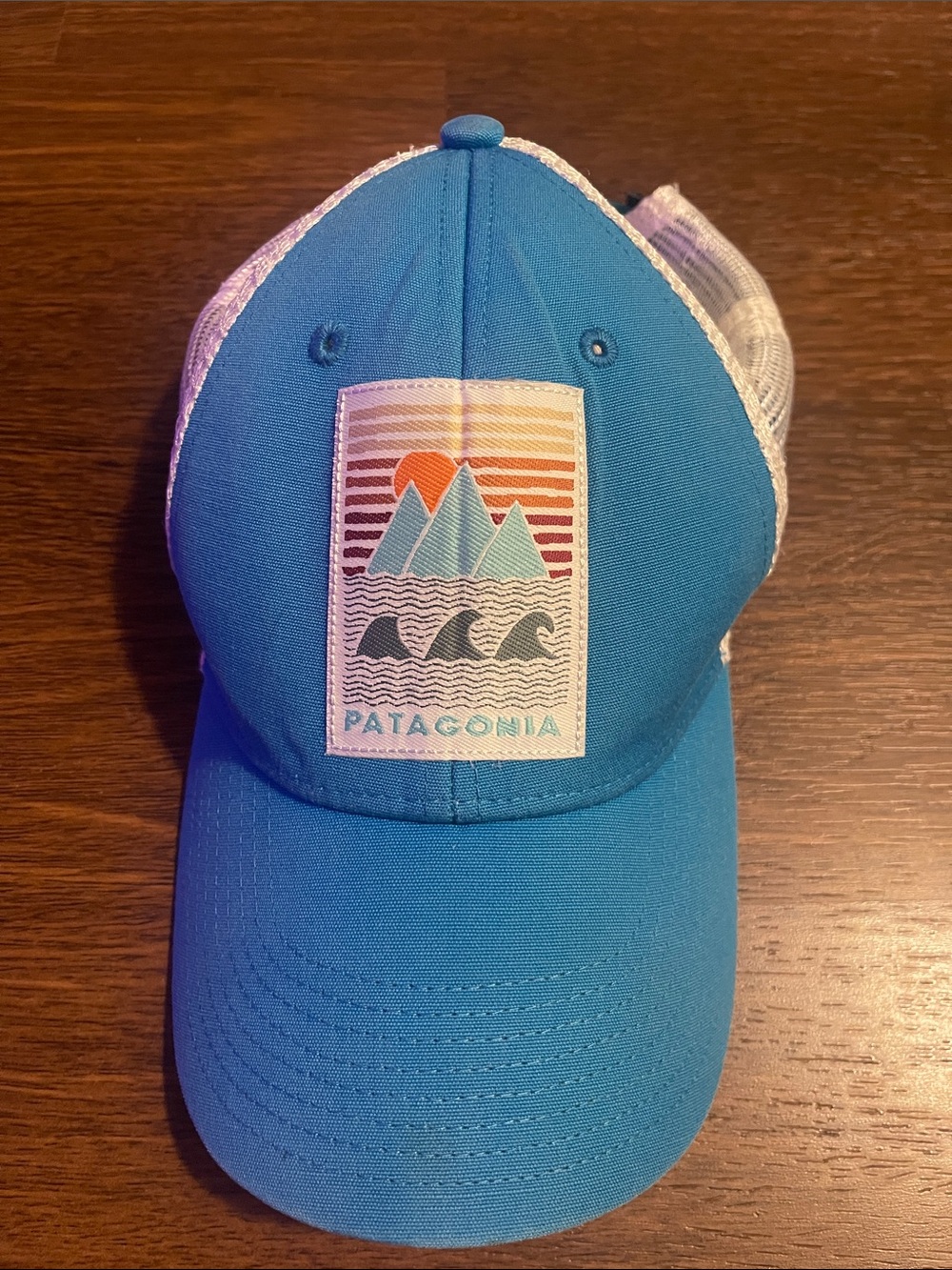 PATAGONIA Mesh Patch Ocean Sunset Mountains Trucker Hat